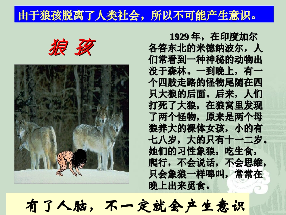 意识的本质课件_第3页