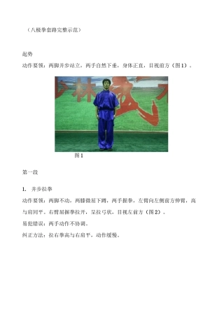 八极拳套路完整示范
