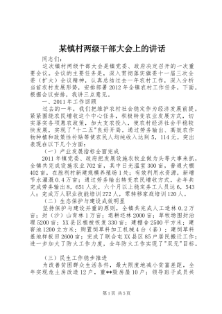 某镇村两级干部大会上的讲话发言