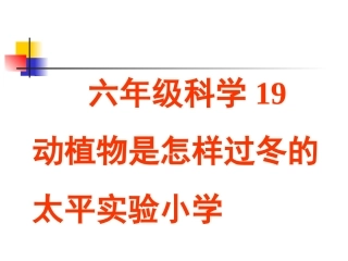 六年级科学动植物是怎样过冬的(1)