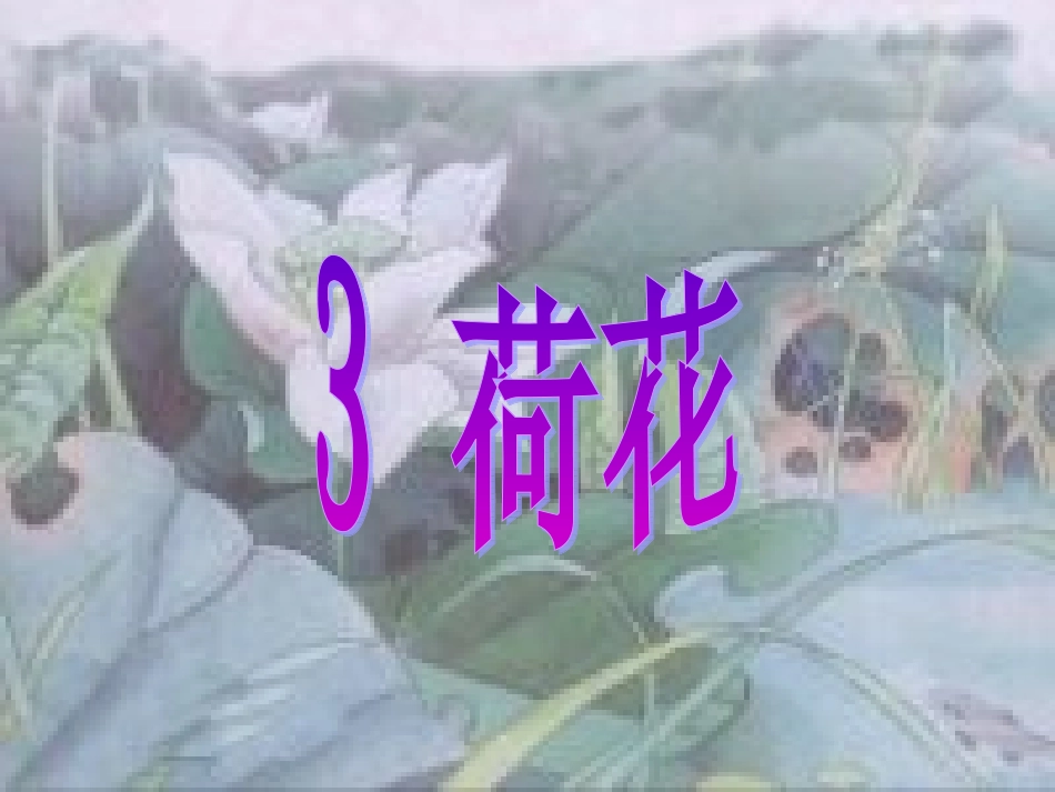 人教版小学语文第6册第3课《荷花》说课稿的PPT课件_第1页