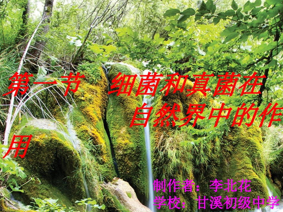 细菌和真菌在自然界中的作用1111_第1页