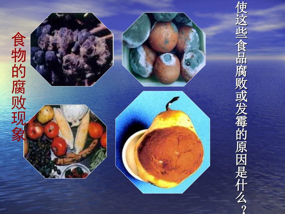 细菌和真菌在自然界中的作用1111_第2页