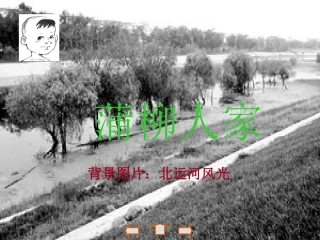 蒲柳人家 (2)