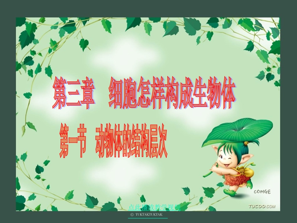 初一生物第三章第一节《动物体的结构层次》PPT课件_第1页