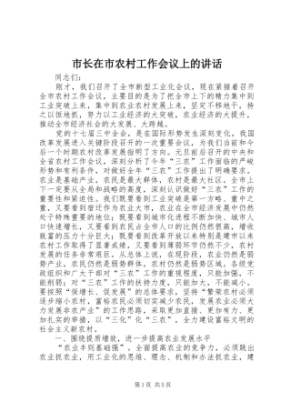 市长在市农村工作会议上的讲话发言