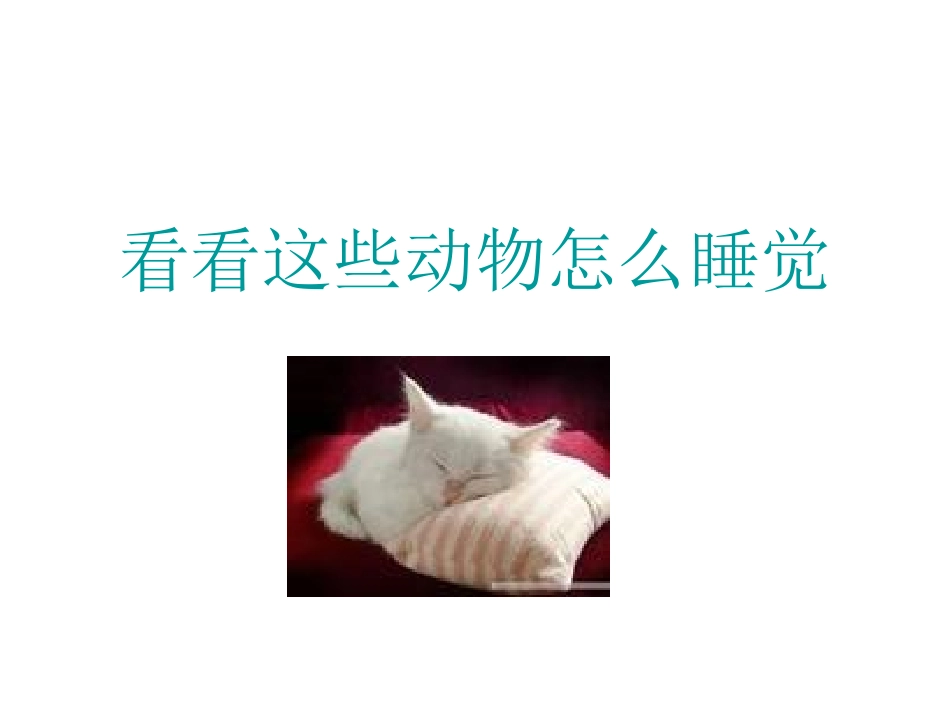 看看这些动物怎么(1)(1)_第1页