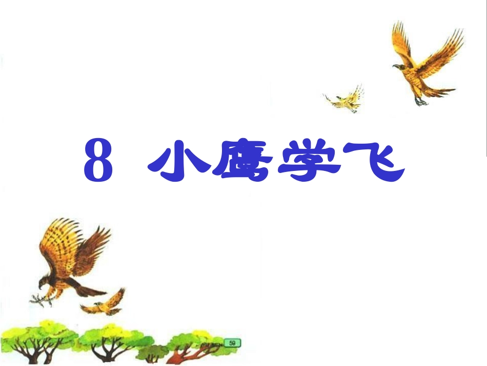 小鹰学飞课件 (2)_第1页