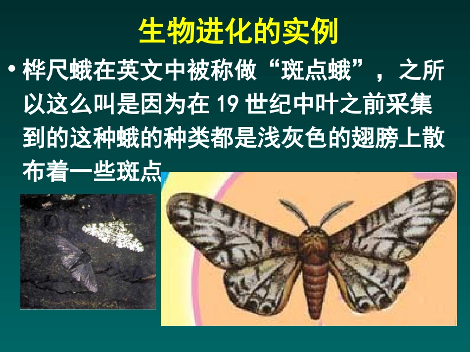 初中二年级生物下册第七单元第三章生物的进化第一课时课件_第3页