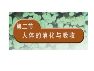 人体的消化与吸收 (2)