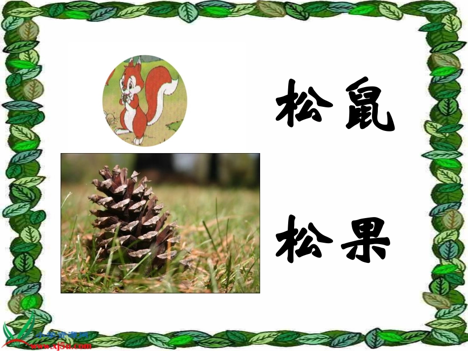 《松鼠和松果》PPT课件_第2页