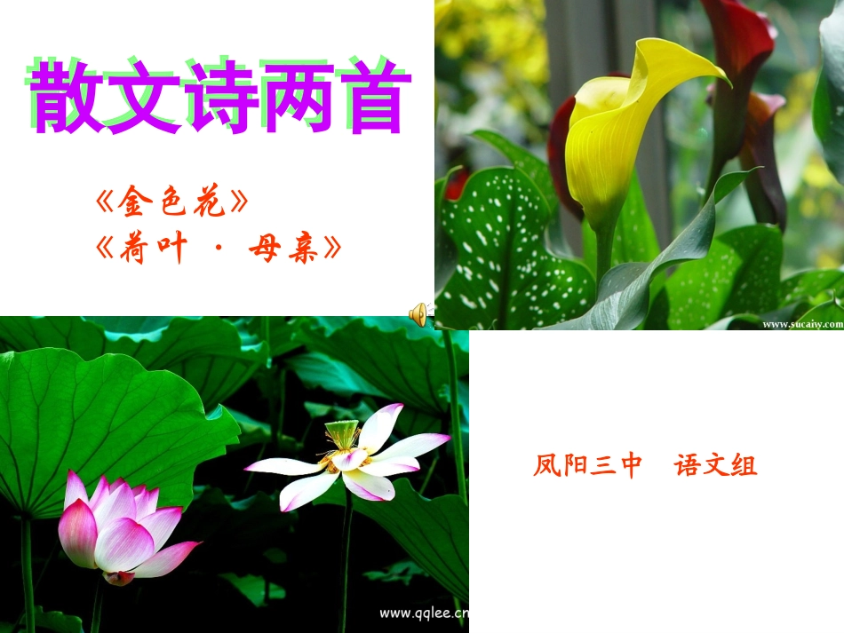 散文诗两首PPT课件_第2页