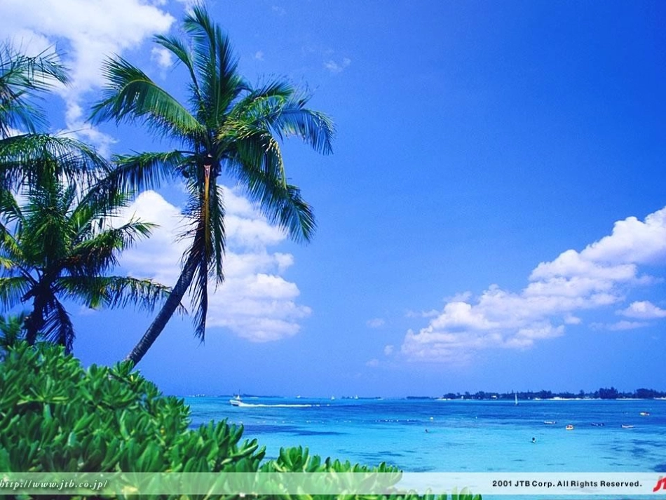 课题4爱护水资源_第3页