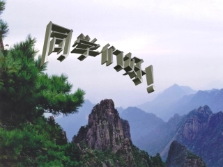 193梯形一2