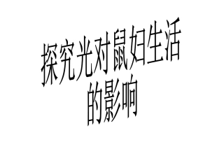 生物与环境的关系(探究光对鼠妇的影响)