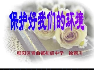 保护好我们的环境