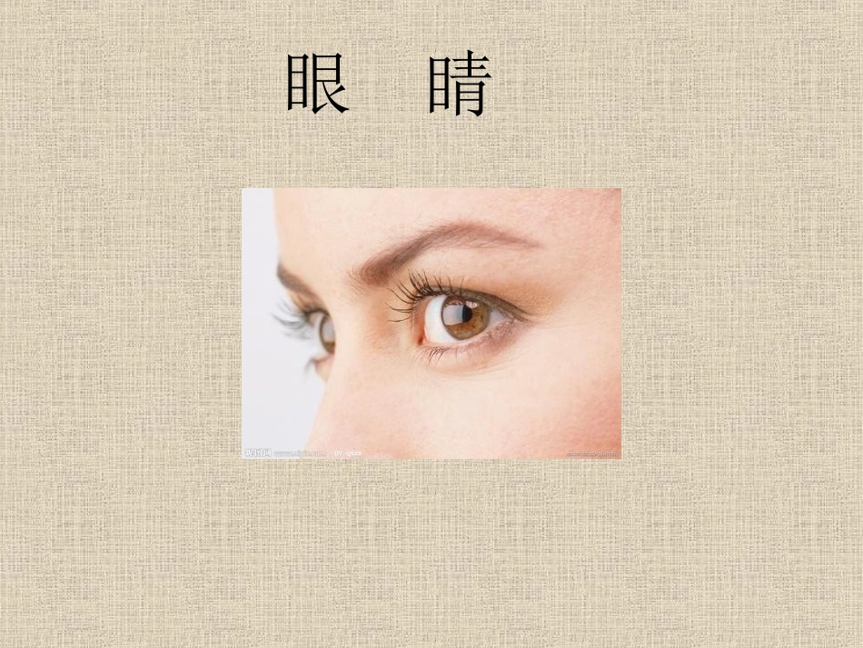 我的身体真奇妙_第2页