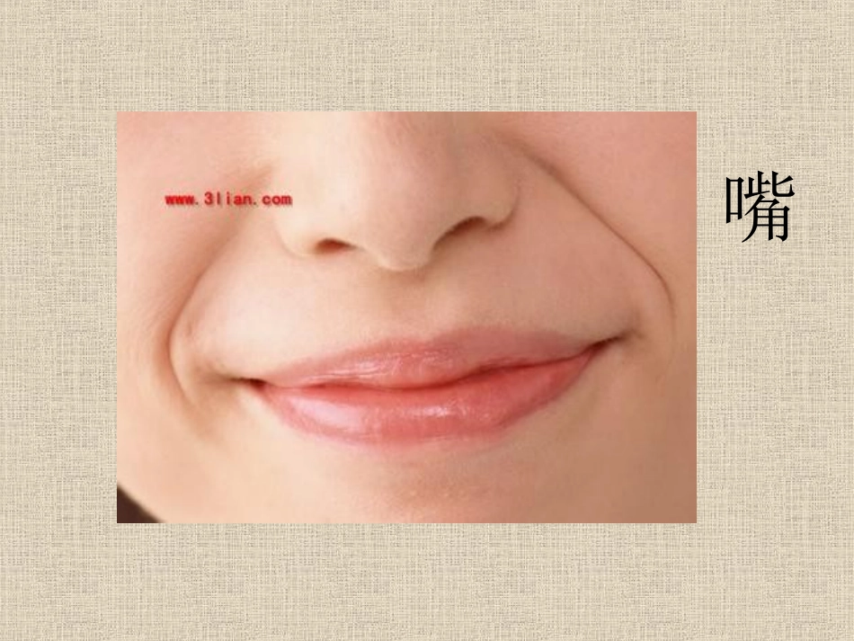 我的身体真奇妙_第3页