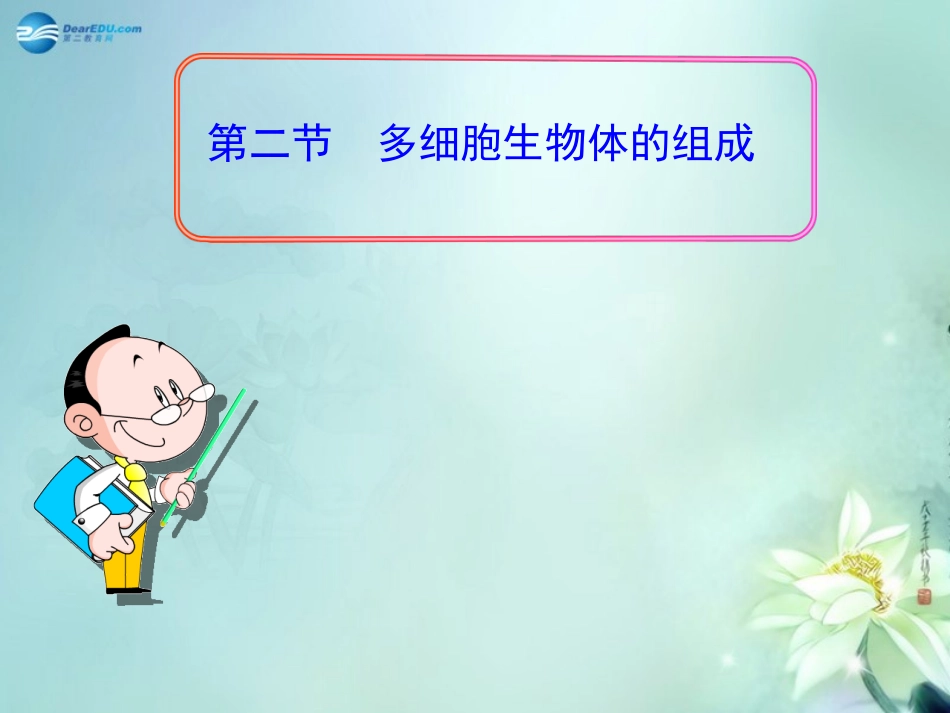 七年级生物上册242多细胞生物体的组成课件（新版）苏教版_第1页