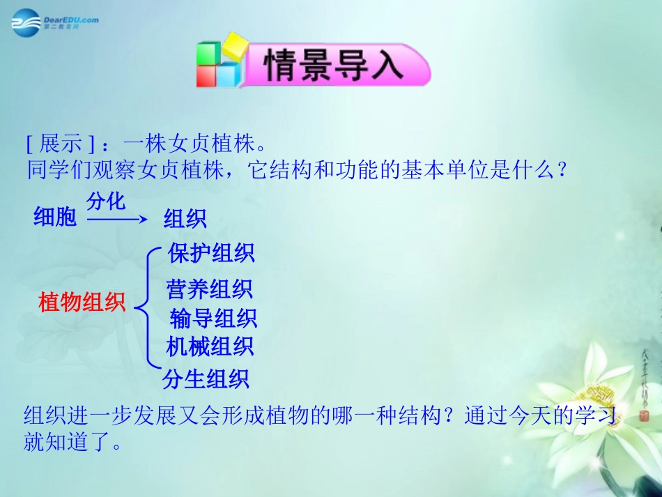 七年级生物上册242多细胞生物体的组成课件（新版）苏教版_第2页