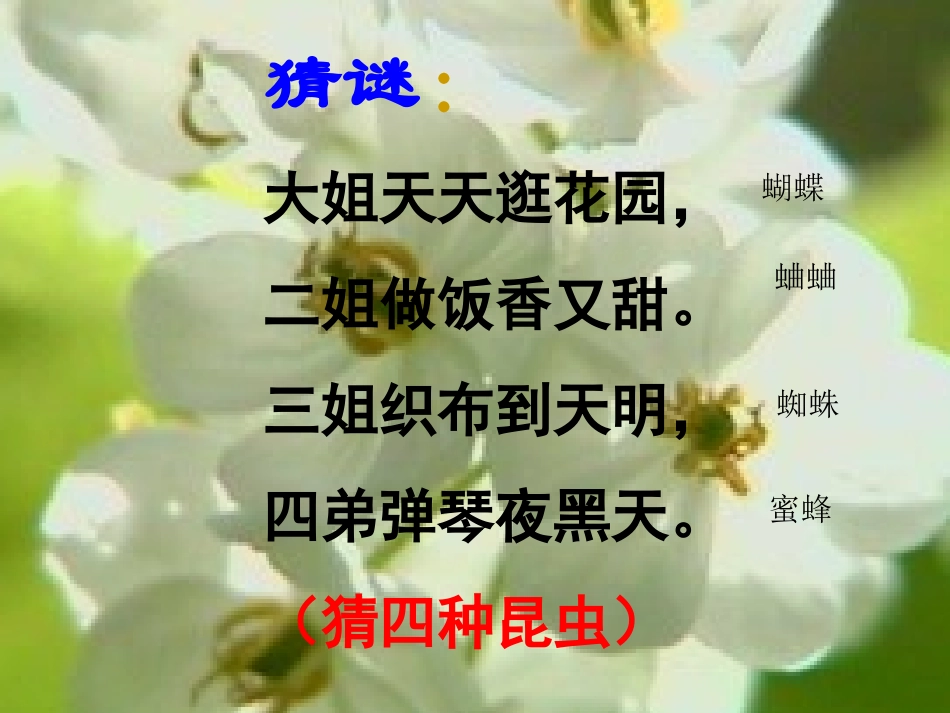 七年级语文绿色蝈蝈_第1页