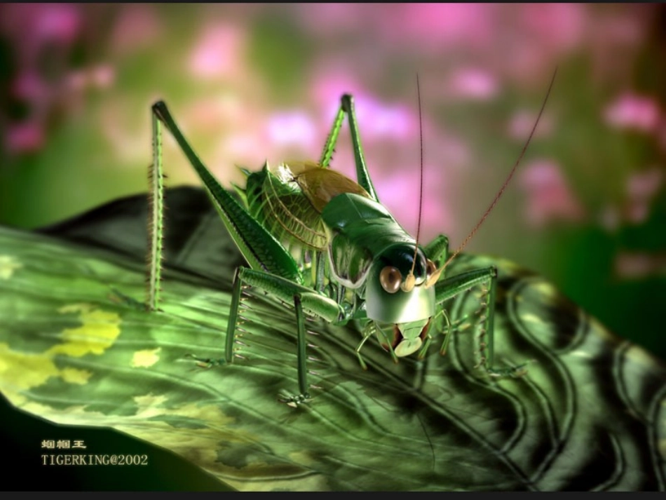 七年级语文绿色蝈蝈_第3页