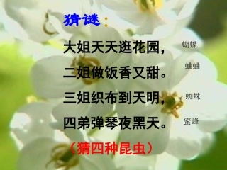 七年级语文绿色蝈蝈