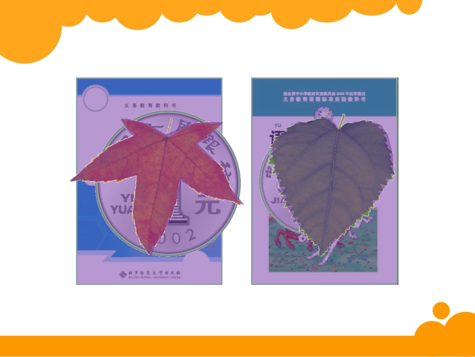 什么是面积课件_第2页