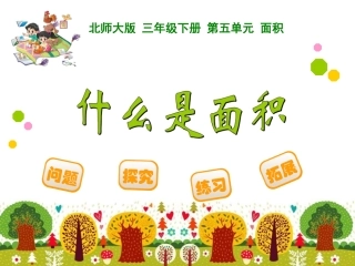 什么是面积课件