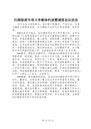 扫黑除恶专项斗争集体约谈暨调度会议讲话发言