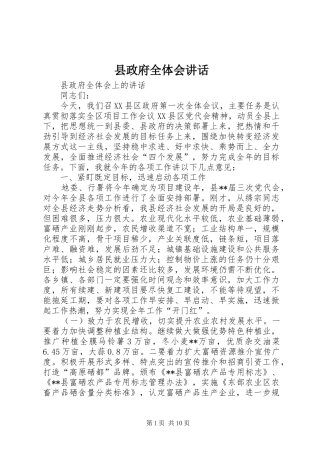 县政府全体会讲话发言