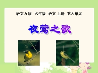 （语文A版）六年级语文上册课件夜莺之歌3