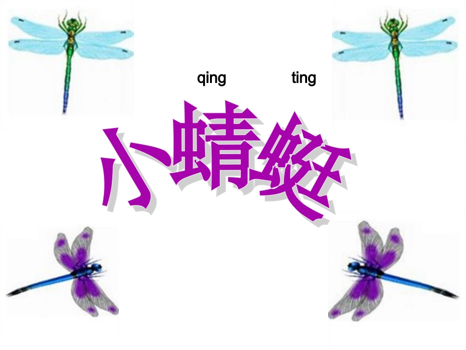《小蜻蜓》课件01_第3页