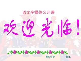 《皇帝的新装》课件(24页)
