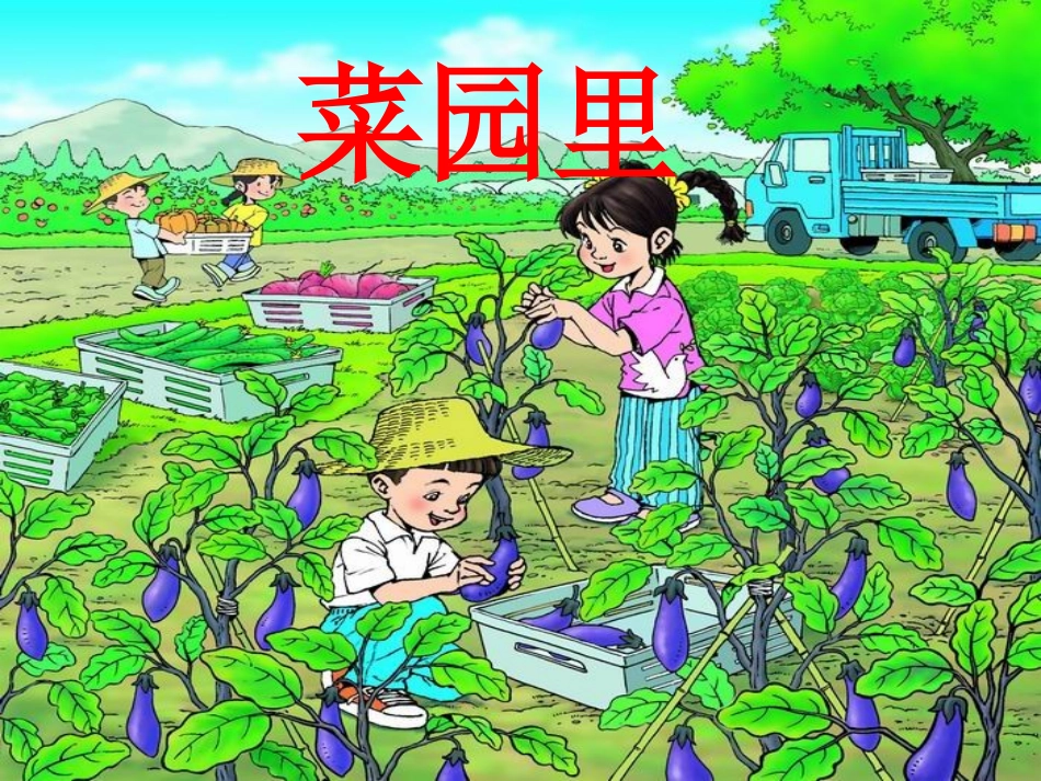 一年级语文《菜园里》课件_第1页
