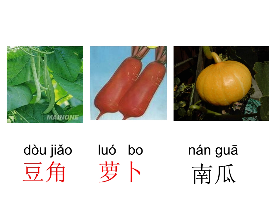 一年级语文《菜园里》课件_第3页