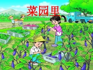 一年级语文《菜园里》课件