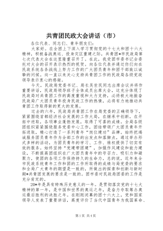 共青团民政大会讲话发言（市）