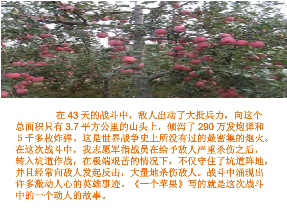 《一个苹果》课件展示（1）(2)_第3页