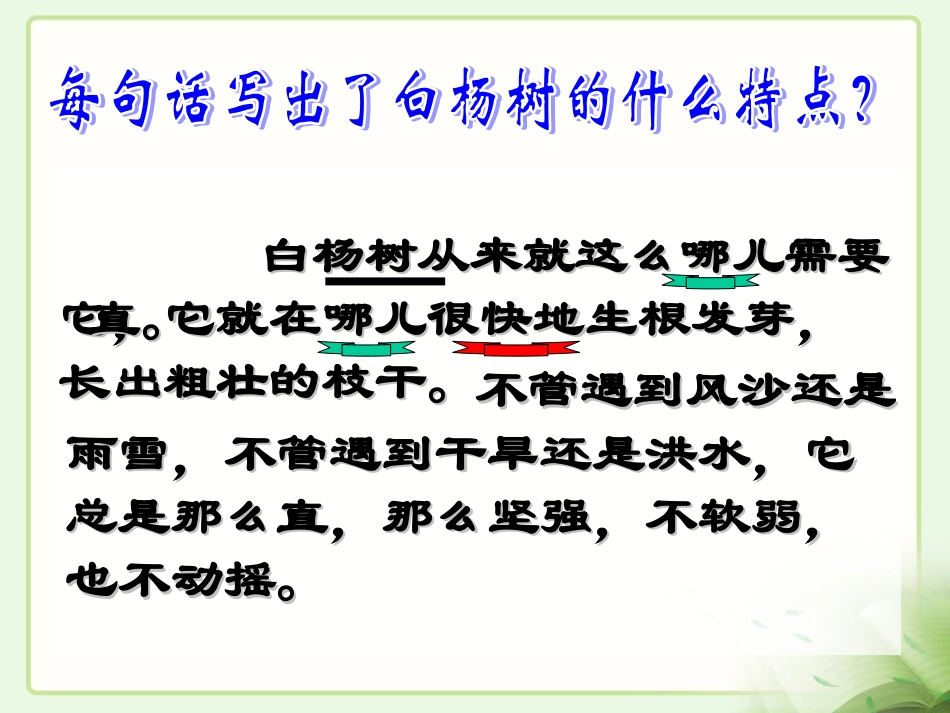 《白杨》教学课件1_第3页