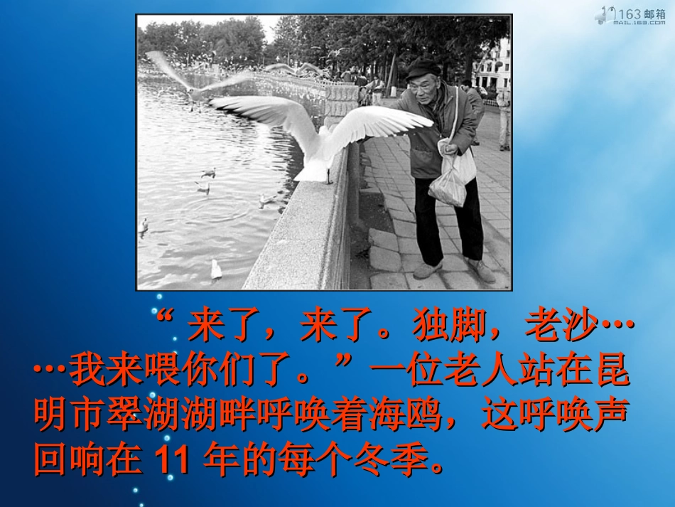 老人与海鸥3(1)_第3页