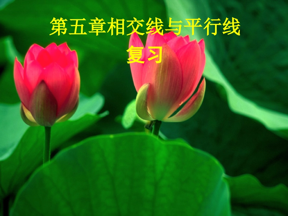 新课改人教版七(下)第五章相交线与平行线复习课件_第1页