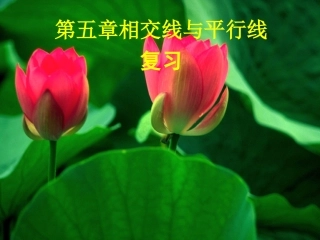 新课改人教版七(下)第五章相交线与平行线复习课件