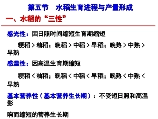 作物栽培学---水稻栽培5-6(1)