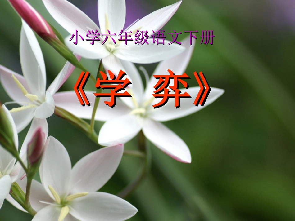 学弈PPT课件_第1页