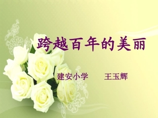 跨越百年的美丽演示文稿(2)