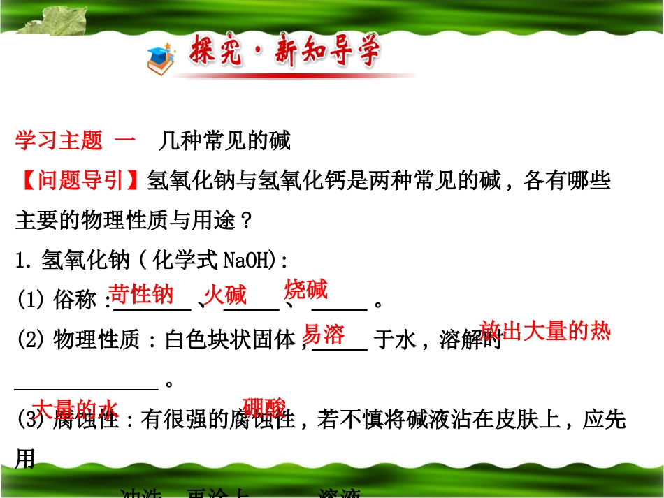2014年中考化学专题复习课件：常见的碱_第2页