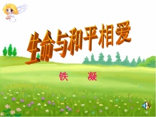 生命与和平相爱 (3)