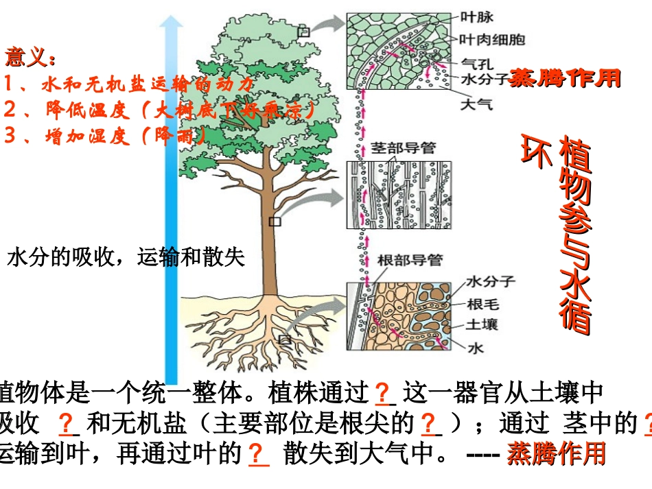 植物的三大生理功能_第2页