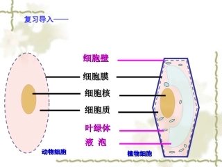 细胞的生活（传）